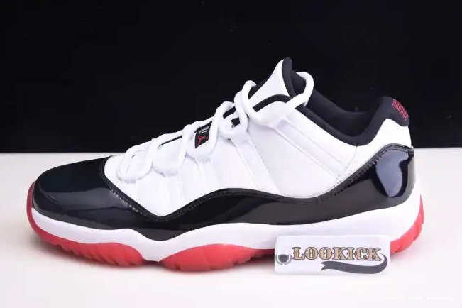 Husky Air Bred Jordan Concord AV2187-160 11 Low Retro 0507